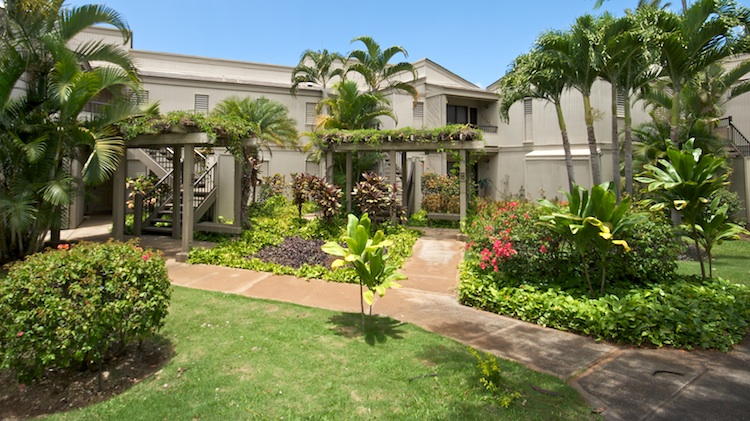 Greenery meets you as start up to your condo