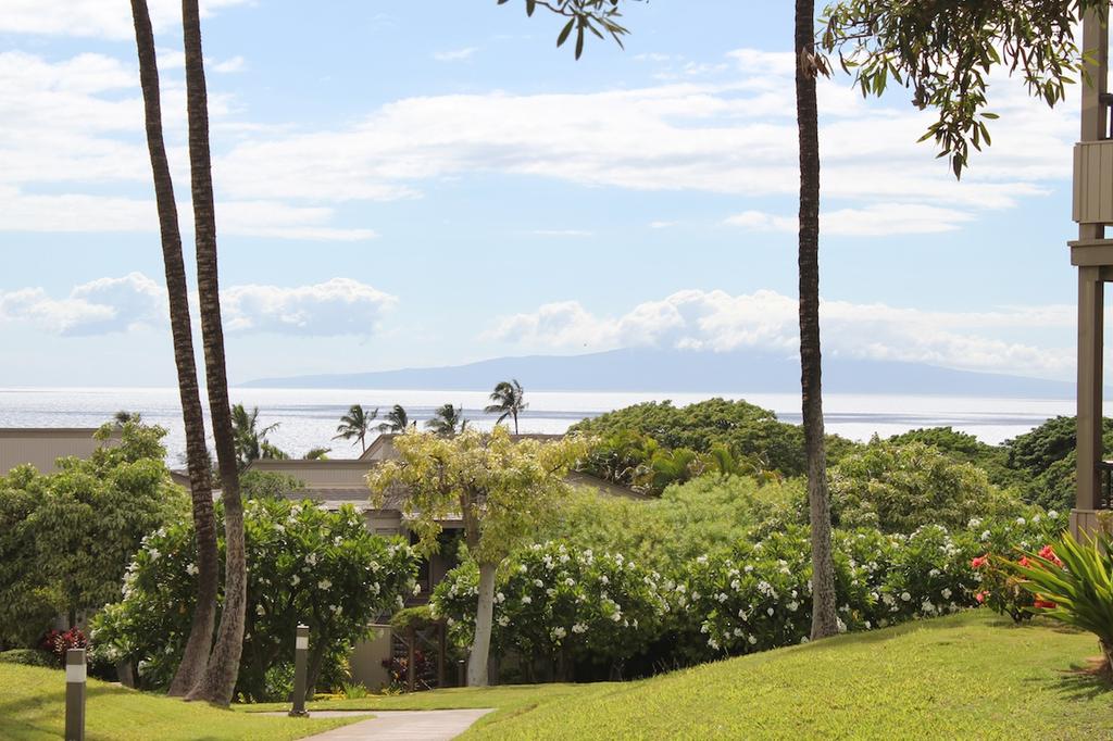 Looking to the neighboring islands