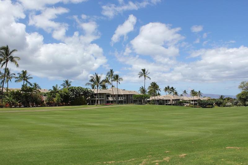 Well-kept greens and golf paths