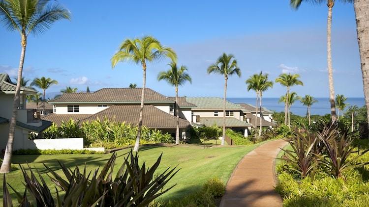 Pacific Ocean views through lush tropical landscaping