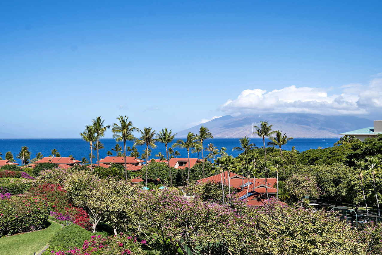 Grand Ocean & Mountain Views: 