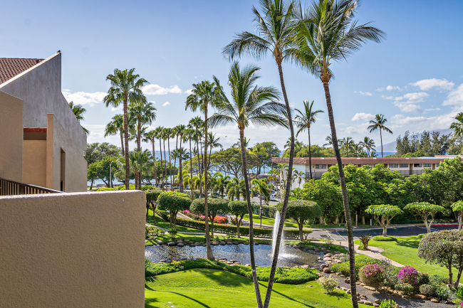 perfectly framed by the lush landscaping of the central courtyard at Kamaole Sands