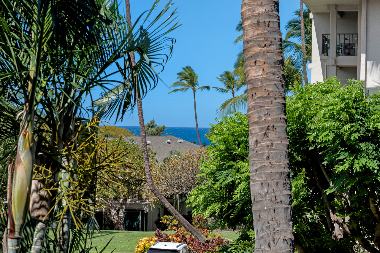 Covered Lanai with partial ocean view: 